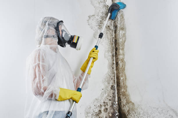 Best Crawl Space Mold Removal  in Utica, IN