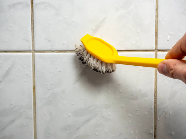 Best Black Mold Removal  in Utica, IN