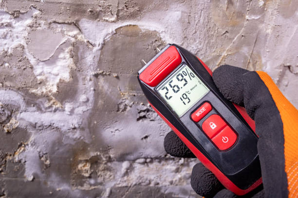 Best Mold Inspection  in Utica, IN