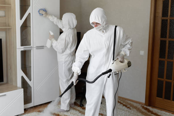 Best Mold Removal Process  in Utica, IN