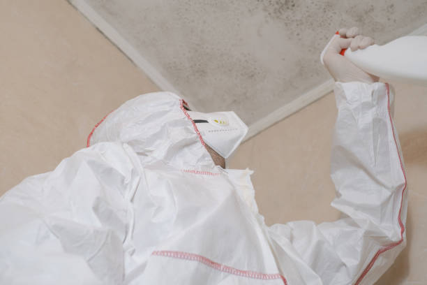 Certified Mold Removal in Utica, IN